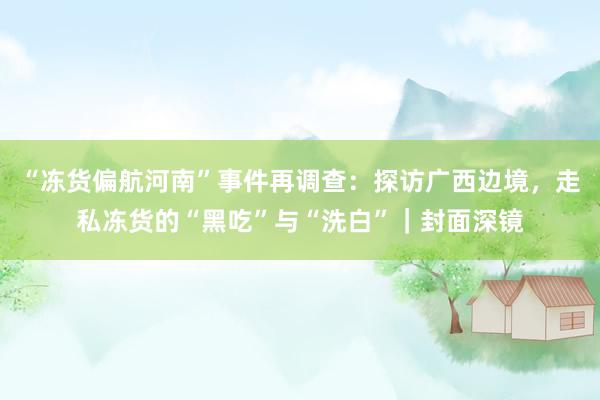 “冻货偏航河南”事件再调查：探访广西边境，走私冻货的“黑吃”与“洗白”｜封面深镜