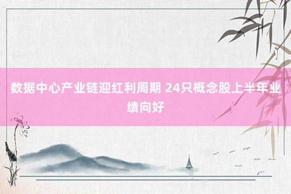 数据中心产业链迎红利周期 24只概念股上半年业绩向好