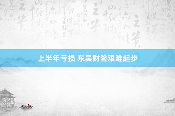 上半年亏损 东吴财险艰难起步