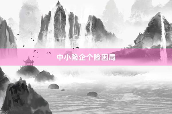 中小险企个险困局