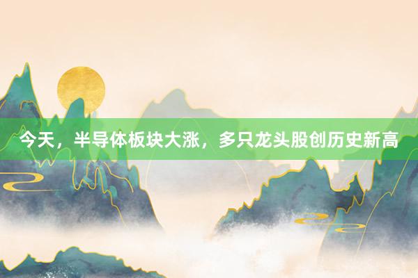 今天，半导体板块大涨，多只龙头股创历史新高