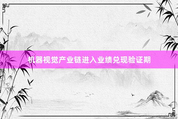 机器视觉产业链进入业绩兑现验证期
