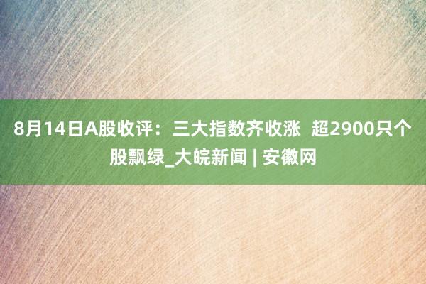 8月14日A股收评：三大指数齐收涨  超2900只个股飘绿_大皖新闻 | 安徽网