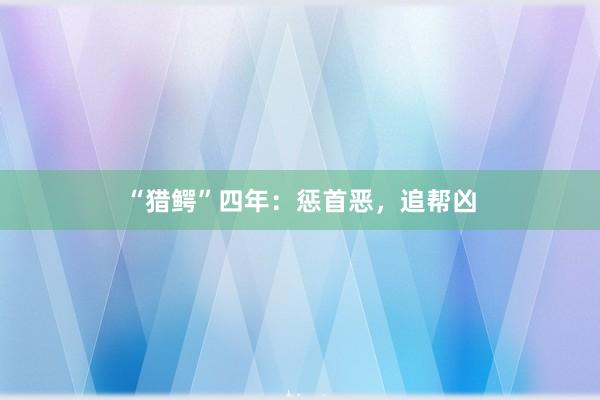 “猎鳄”四年：惩首恶，追帮凶