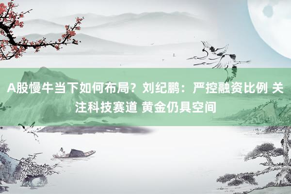 A股慢牛当下如何布局？刘纪鹏：严控融资比例 关注科技赛道 黄金仍具空间