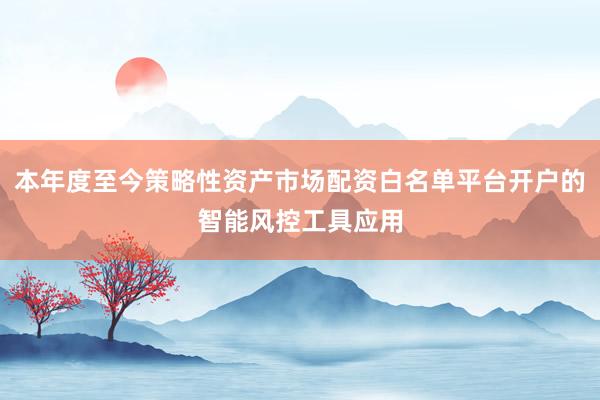 本年度至今策略性资产市场配资白名单平台开户的智能风控工具应用