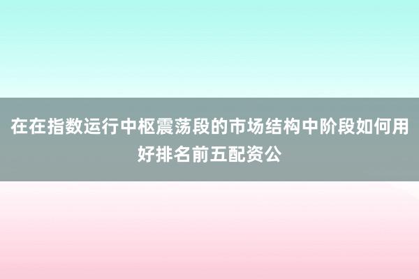 在在指数运行中枢震荡段的市场结构中阶段如何用好排名前五配资公