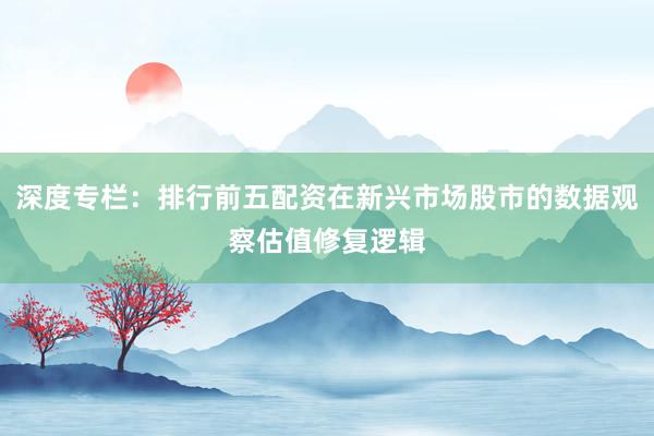 深度专栏：排行前五配资在新兴市场股市的数据观察估值修复逻辑