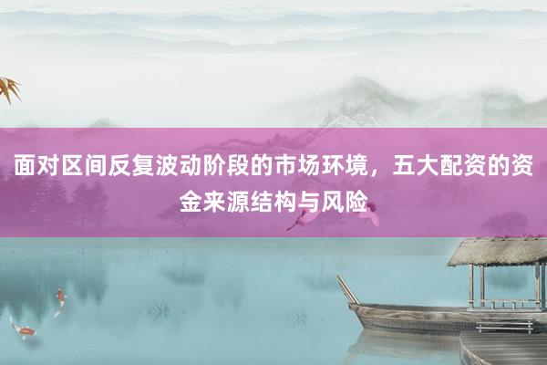面对区间反复波动阶段的市场环境，五大配资的资金来源结构与风险