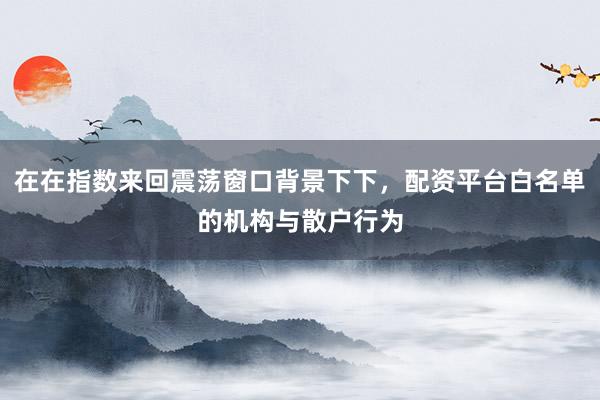 在在指数来回震荡窗口背景下下，配资平台白名单的机构与散户行为