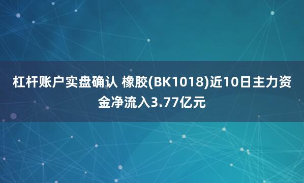 杠杆账户实盘确认 橡胶(BK1018)近10日主力资金净流入3.77亿元