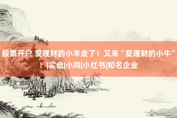 股票开户 爱理财的小羊走了！又来“爱理财的小牛”！|实盘|小鸡|小红书|知名企业