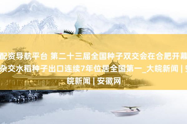 配资导航平台 第二十三届全国种子双交会在合肥开幕  合肥杂交水稻种子出口连续7年位居全国第一_大皖新闻 | 安徽网