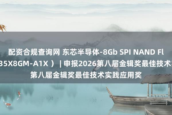 配资合规查询网 东芯半导体-8Gb SPI NAND Flash （ DS35X8GM-A1X ） | 申报2026第八届金辑奖最佳技术实践应用奖