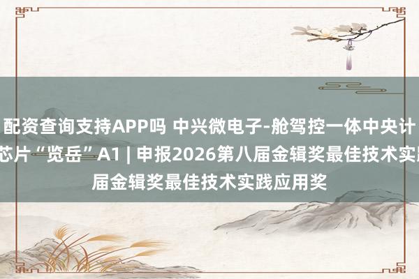 配资查询支持APP吗 中兴微电子-舱驾控一体中央计算 SOC 芯片“览岳”A1 | 申报2026第八届金辑奖最佳技术实践应用奖