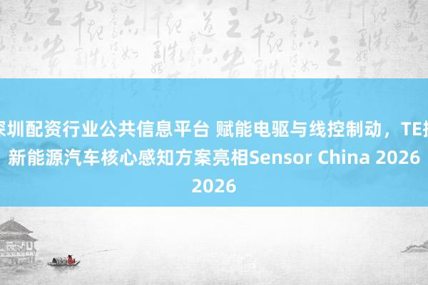 深圳配资行业公共信息平台 赋能电驱与线控制动，TE携新能源汽车核心感知方案亮相Sensor China 2026
