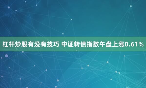 杠杆炒股有没有技巧 中证转债指数午盘上涨0.61%