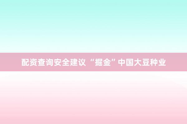 配资查询安全建议 “掘金”中国大豆种业