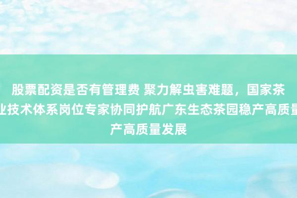 股票配资是否有管理费 聚力解虫害难题,国家茶叶产业技术体系岗位专家协同护航广东生态茶园稳产高质量发展