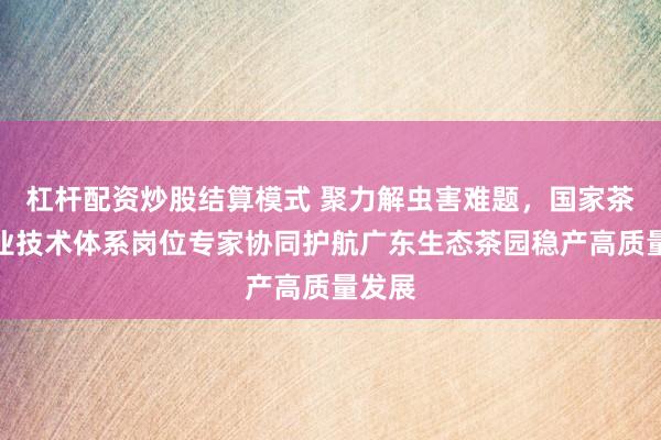 杠杆配资炒股结算模式 聚力解虫害难题，国家茶叶产业技术体系岗位专家协同护航广东生态茶园稳产高质量发展