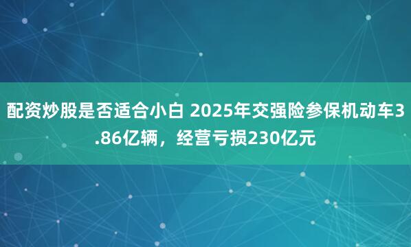 配资炒股是否适合小白 2025年交强险参保机动车3.86亿辆，经营亏损230亿元