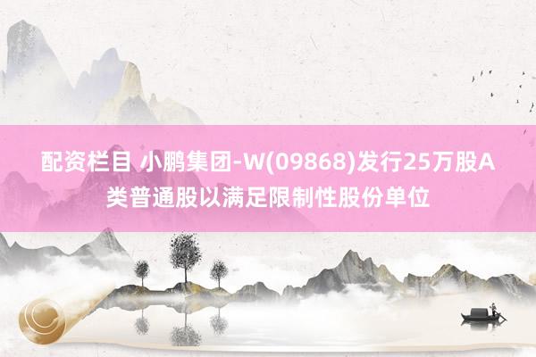 配资栏目 小鹏集团-W(09868)发行25万股A类普通股以满足限制性股份单位