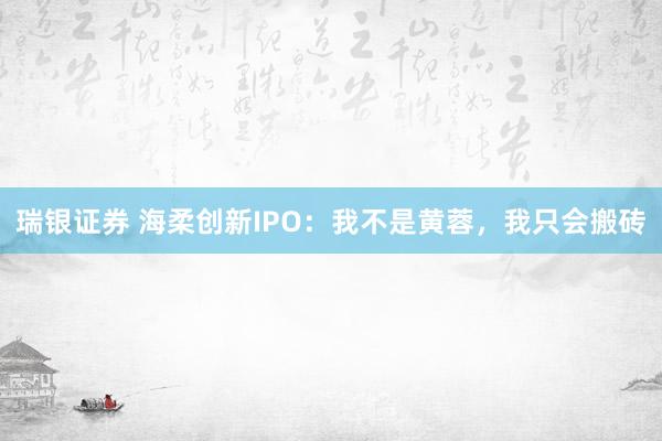 瑞银证券 海柔创新IPO：我不是黄蓉，我只会搬砖