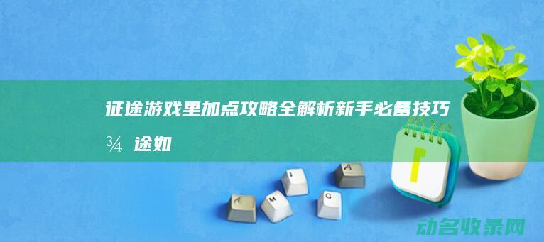 征途游戏里加点攻略全解析 新手必备技巧 (征途如何)