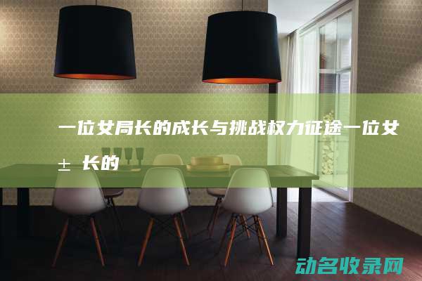 一位女局长的成长与挑战 权力征途 (一位女局长的电影)