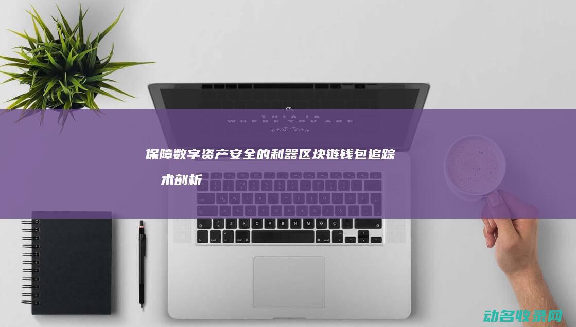 保障数字资产安全的利器 区块链钱包追踪技术剖析 (保障数字资产安全漫画)